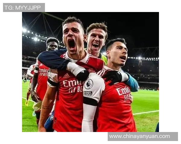 丹麦与奥地利激战正酣谁能在这场比赛中笑到最后