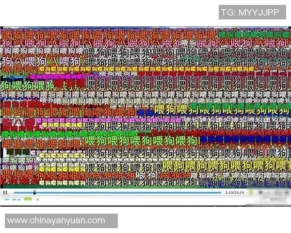 伊朗与阿曼精彩对决视频直播全程回顾与分析