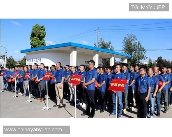 张宁：从普通学子到行业领军人物的成长之路与奋斗故事