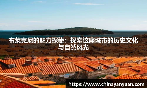 布莱克尼的魅力探秘：探索这座城市的历史文化与自然风光